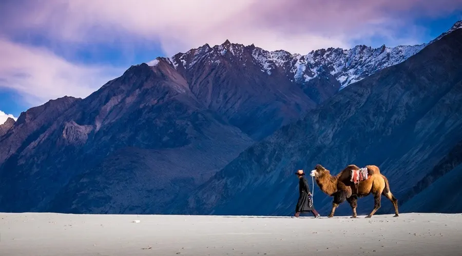Hunder Sand Dunes, Leh Ladakh